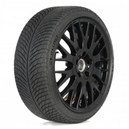 Шина 275/45R20 Michelin Pilot Alpin 5 SUV RunFlat * (BMW) 110V купить в Москве недорого